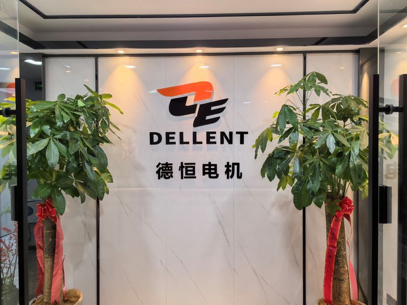 چین Fuan Dellent Electric &amp; Machinery Co., Ltd. نمایه شرکت